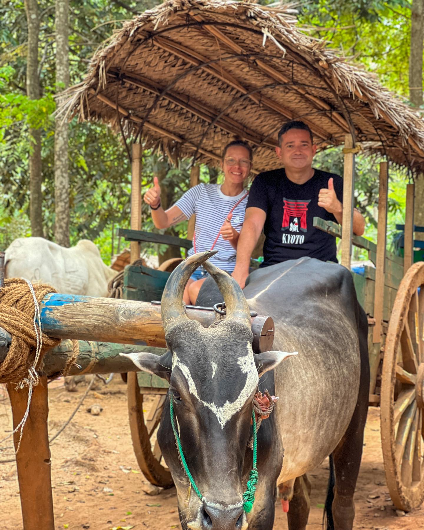 Couple on traditional bullock cart