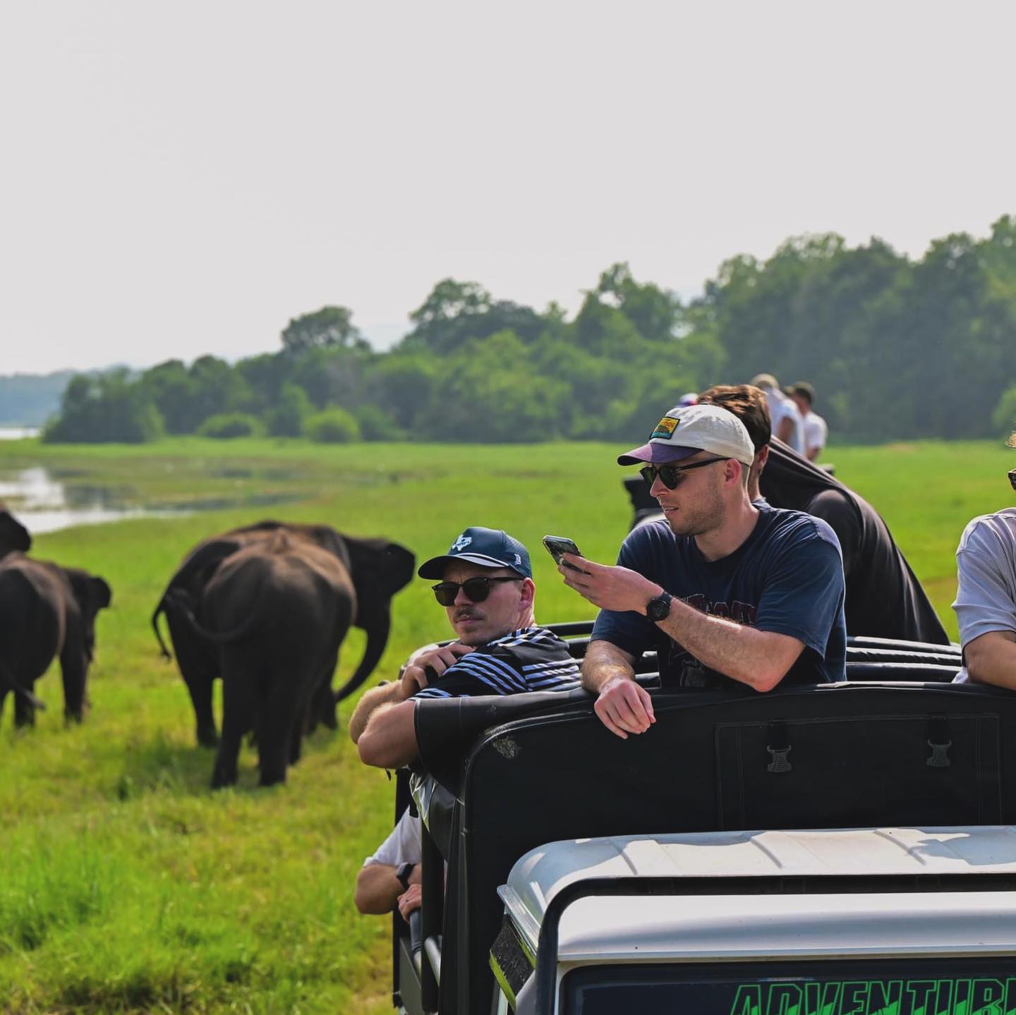 Safari jeep watching elephants