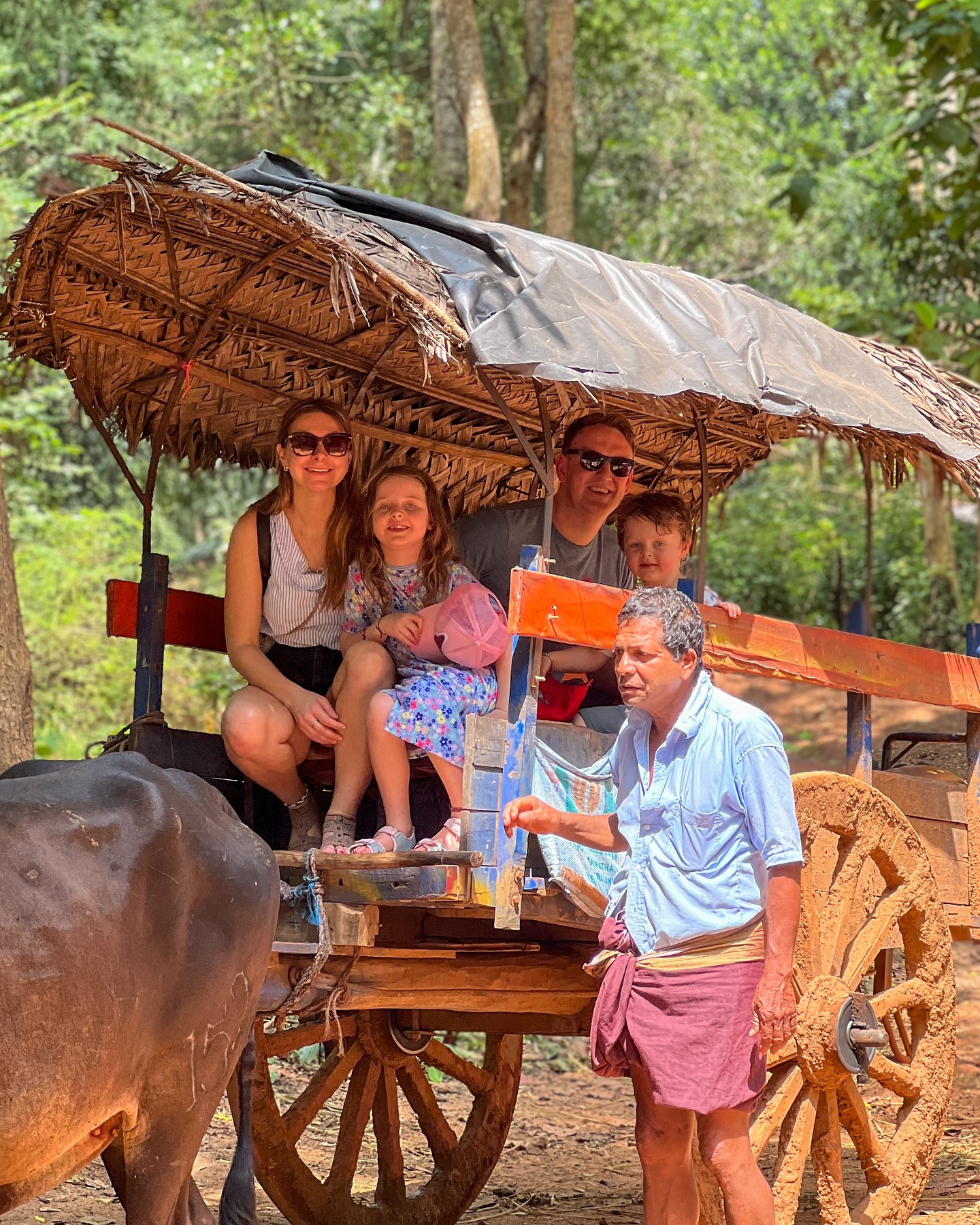 Traditional bullock cart ride
